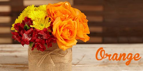 Colors of flowers and favorite floral colors orange flowers