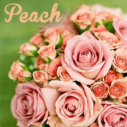 Colors of flowers and favorite floral colors peach flowers