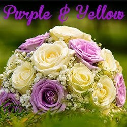Colors of flowers and favorite floral colors purple and yellow flowers
