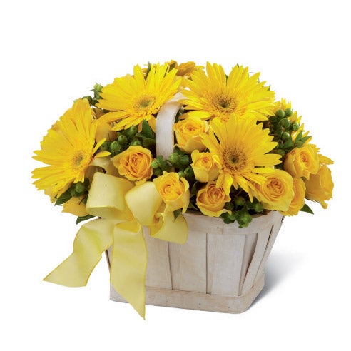 Yellow gerbera daisies and yellow spray roses with green roses