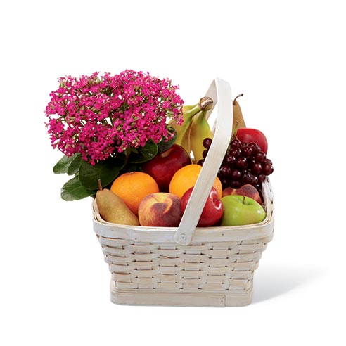 Hot pink kalanchoe plant and assorted fruit in woodchip basket