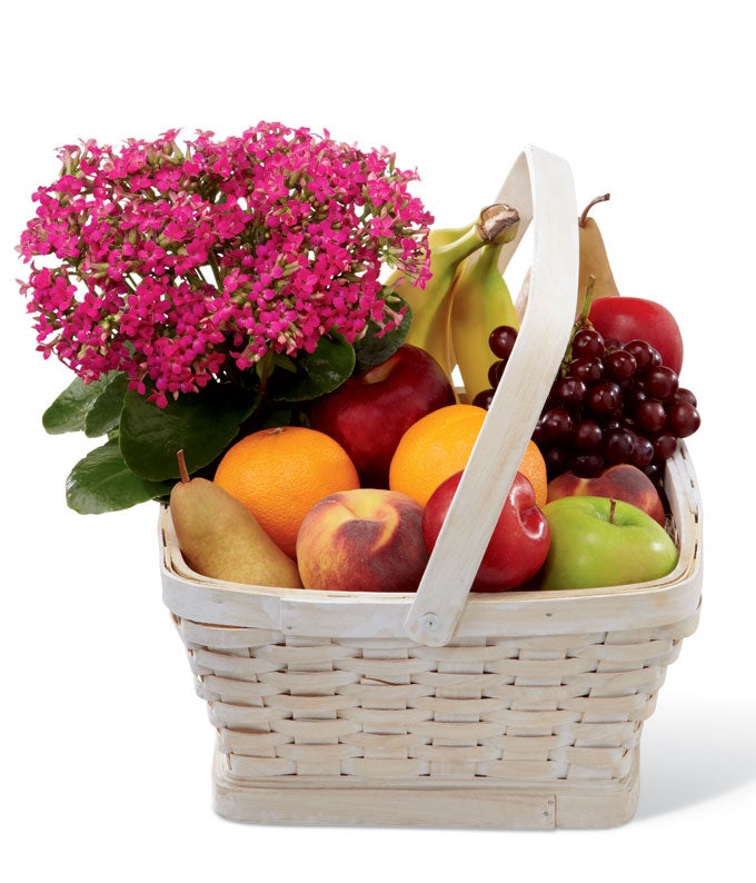 Hot pink kalanchoe plant and assorted fruit in woodchip basket