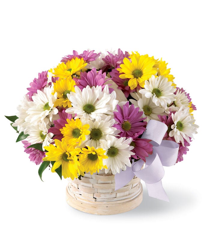 Purple daisies, yellow daisies and white daisies in a basket