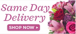 delivery same day bouquet of flowers flowers online flower delivery