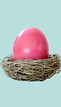 Pink Plastic Egg resting in a Plastic Nest