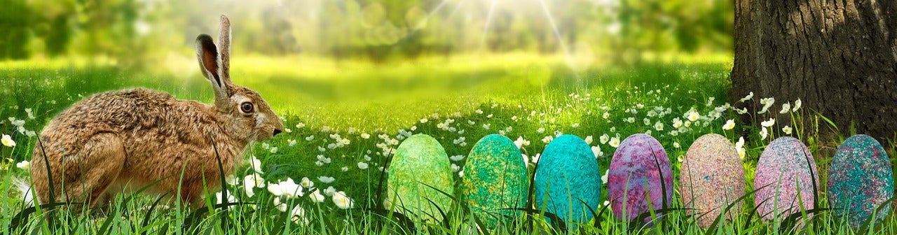 7 colorful pieces of eggs on the grass with a rabbit watching it