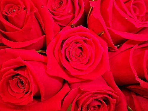 Red roses are the second girls favorite flowers at send flowers com