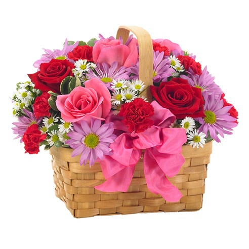 Celebrate Rose & Daisy Basket at Send Flowers