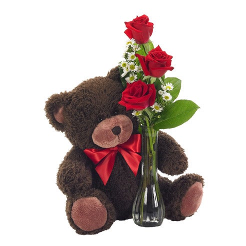 Red Roses and Aspidistra Leaf in a Thin Red Vase with Teddy Bear