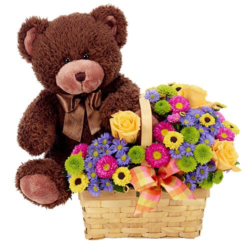 Beary Special Delivery at Send Flowers