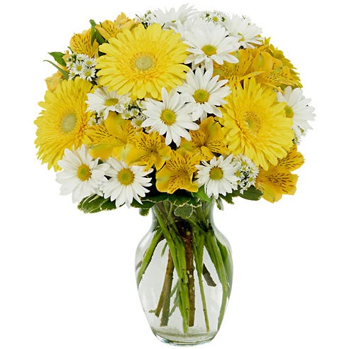 daisy flowers delight yellow bouquet daisies send gerbera