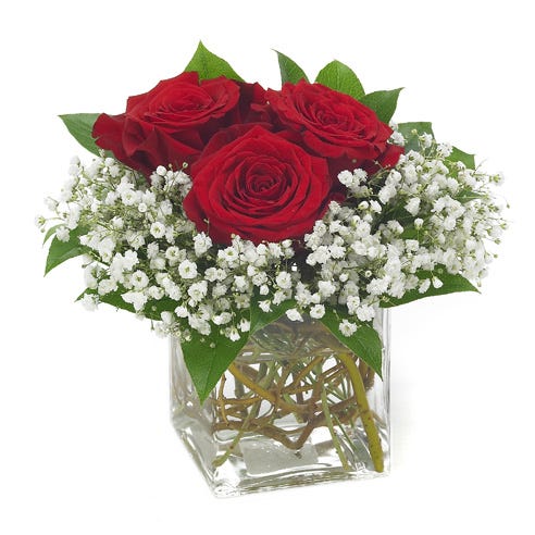 Three red roses in square vase with monte casino, cheap Valentine's roses