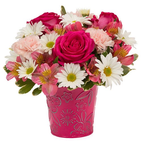 Pert Pink Rose Garden