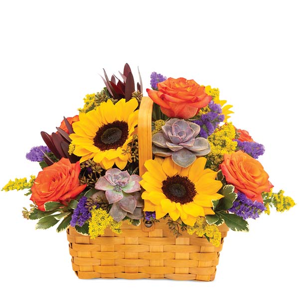 Sunflower & Succulents Basket