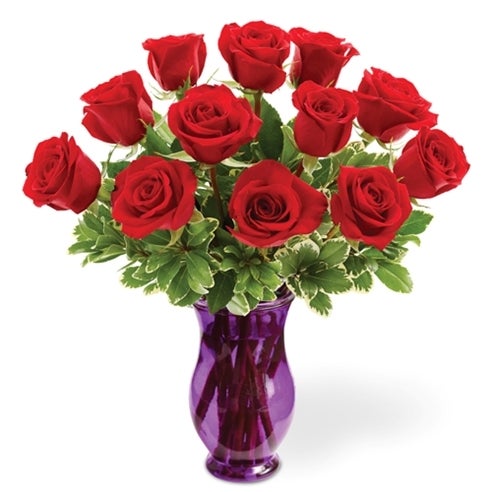 Modern One Dozen Red Roses for Her at Send Flowers