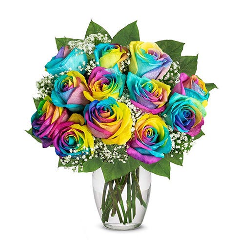 One Dozen Wild Rainbow Roses