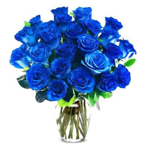 Two Dozen Royal Blue Roses