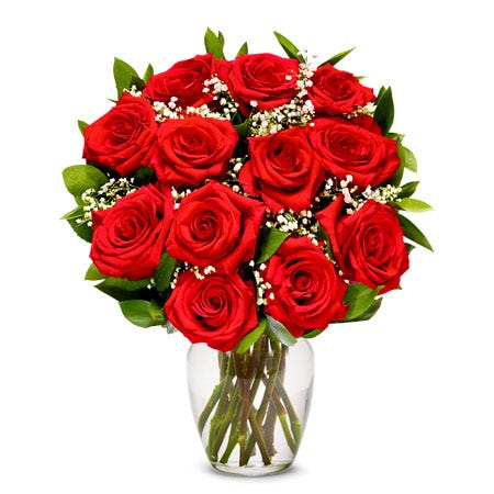 A Bouquet of 12 Pieces Long Stem Red Roses Included Card Message Packaged Unless Vase Added