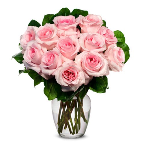 12 pink boxed roses