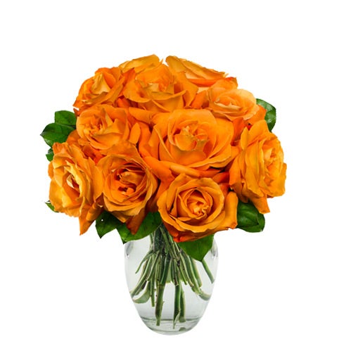 A Bouquet of 12 Orange Roses Flowers Arrive In A Box