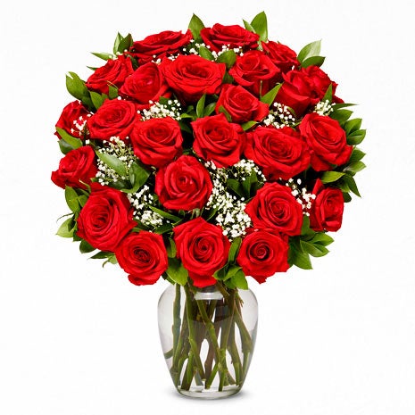 A Bouquet of  24 Pieces Red Roses Long Stem and White Monte Casino with Card Included Boxed Flowers Unless Vase is Added