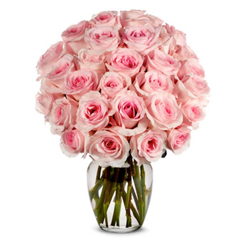 two dozen pink roses bouquet