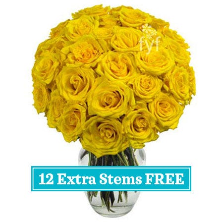 2 dozen long stem yellow roses in a box with a card, send 2 dozen yellow roses