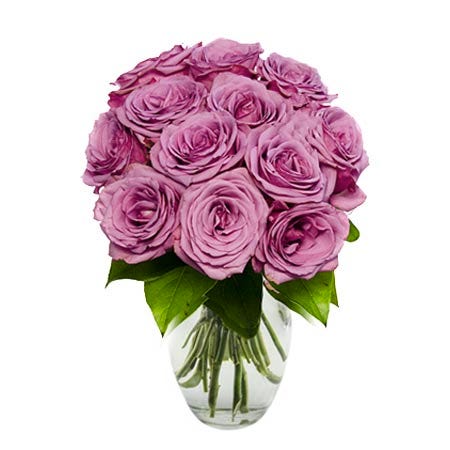 A dozen purple roses in a box, boxed purple roses arrangement