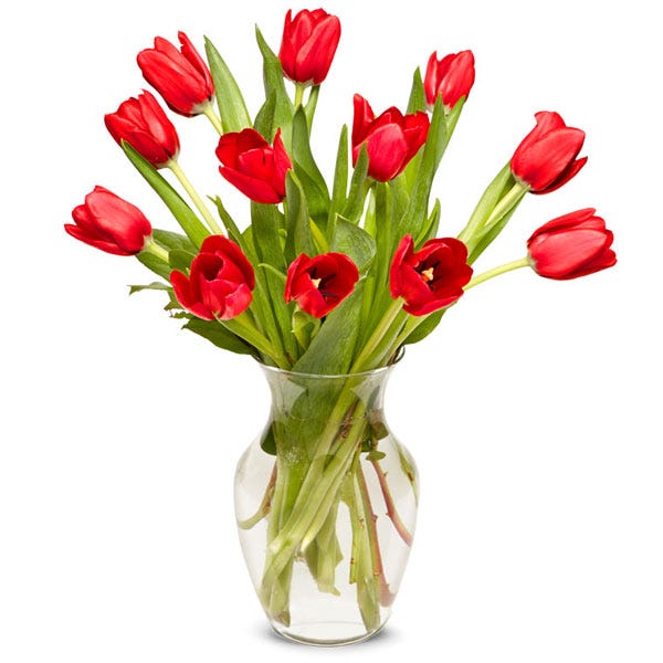 Red Tulip Arrangement at Send Flowers