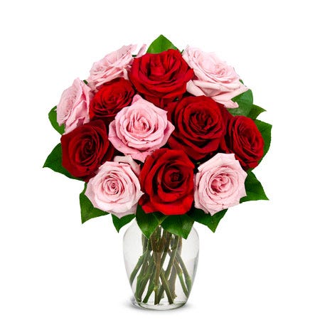 One Dozen Red & Pink Roses