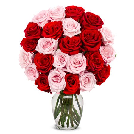 Two Dozen Red & Pink Roses