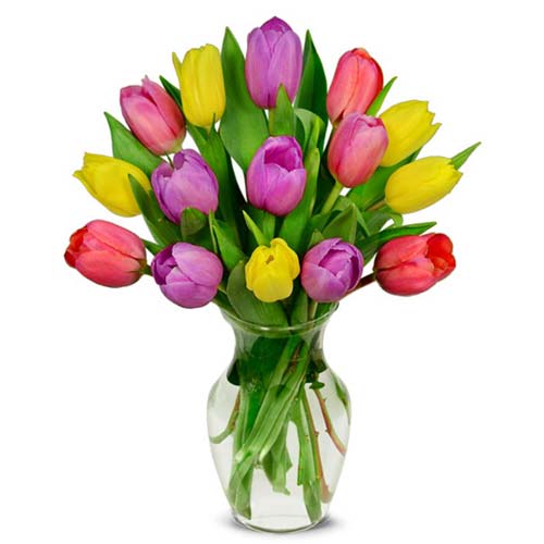 Sweet Spring Tulip Bouquet - 15 Stems