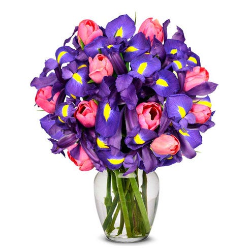 Precious Pink Tulip & Iris Arrangement