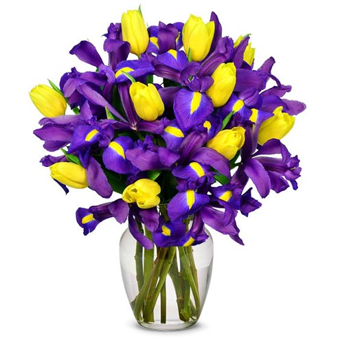A Bouquet of Yellow Tulips and Blue Iris with Personal Card Message Vase is Optional