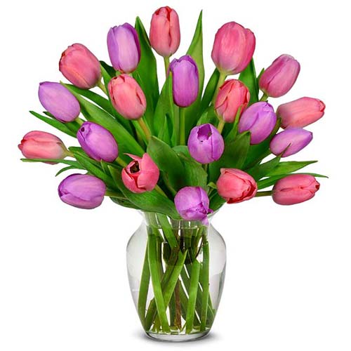Pretty in Pink and Purple Tulips - 20 Stems