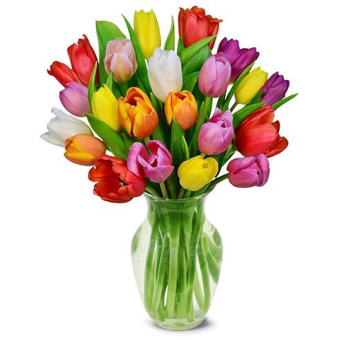 Rainbow tulips bouquet of cheap tulip flowers delivered in a box
