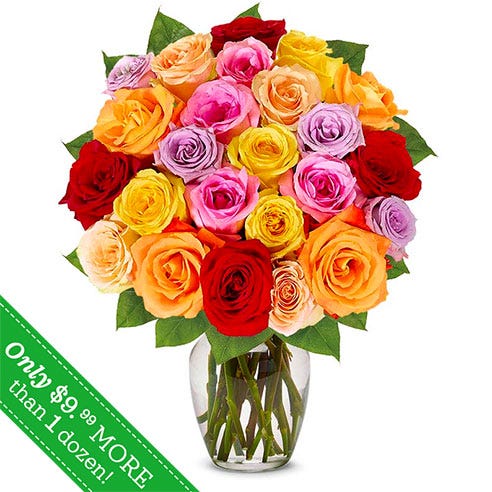 Two Dozen Rainbow Roses