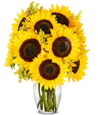 arrangement of sunflowers