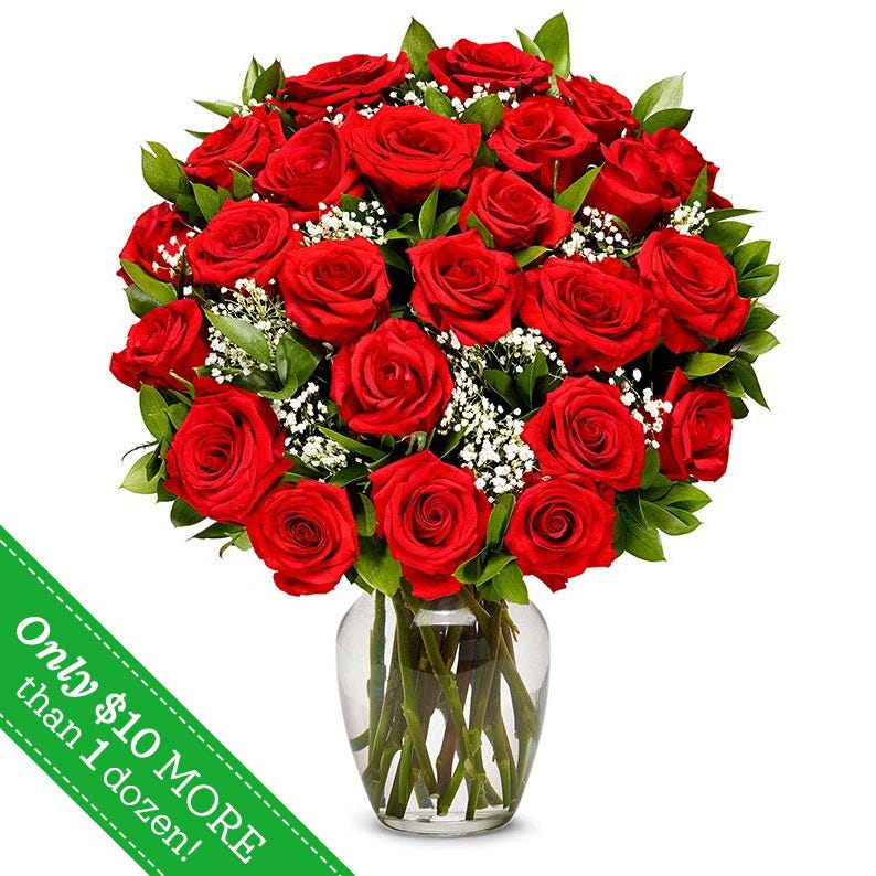 Two Dozen Long Stemmed Red Roses