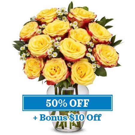 Boxed Fire roses, two dozen yellow and red roses in a box