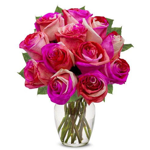 One Dozen Prismatic Pink Roses