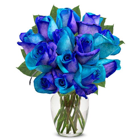 One Dozen Oceanic Roses