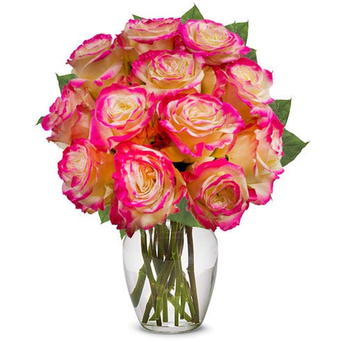 One Dozen Sunset Pink Roses