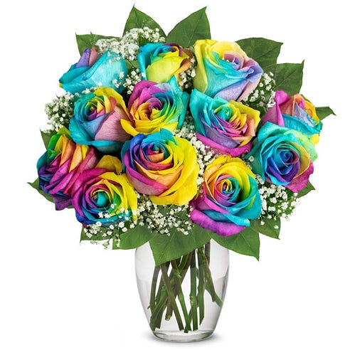 One Dozen Wild Rainbow Roses