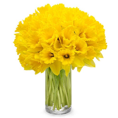 Springtime Sunshine Daffodil Bouquet