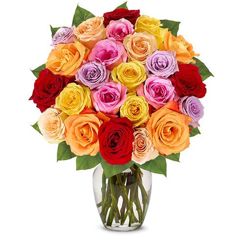 Two Dozen Rainbow Roses