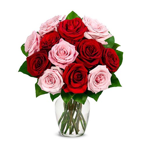 One Dozen Pink and Red Roses
