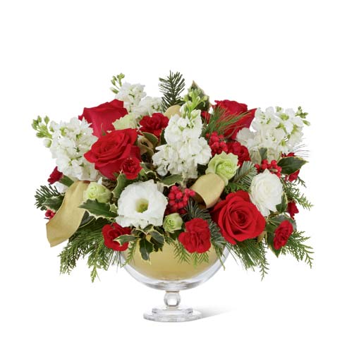christmas flowers offers