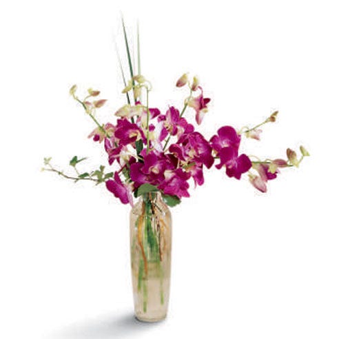 Long stem purple orchid bouquet with purple orchids in a fitted glass vase