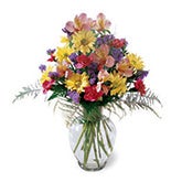 Cheap flowers for sale at sendflowers use our cheap flower delivery
